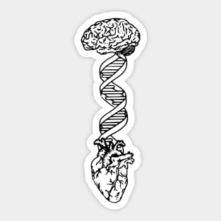 Brain DNA Heart Sticker